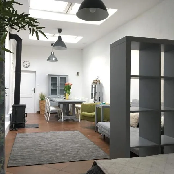 BIG CALM APART HOTEL 15min WARSAW 6pers WiFi Fireplace Garden Grill, hotel in Warsaw