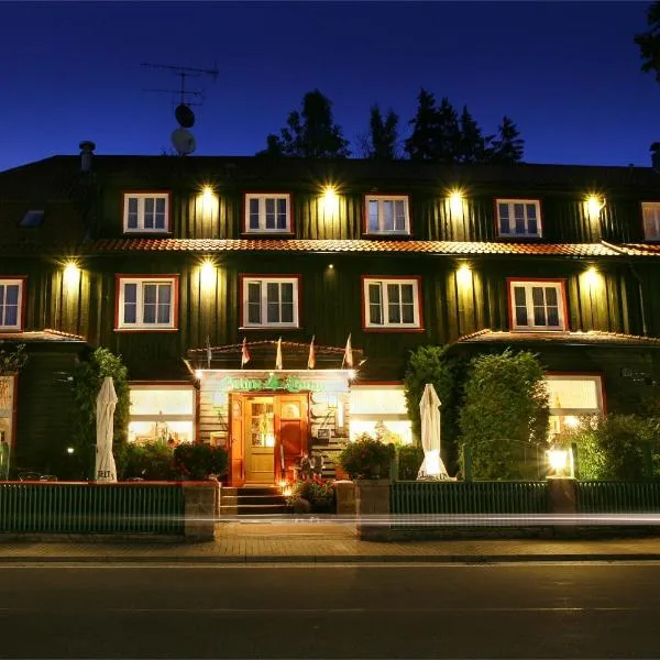 Hotel Grüne Tanne Mandelholz, hotel in Benneckenstein