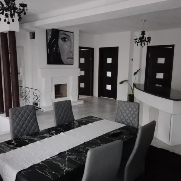Pensiunea Timiș, hotel v destinaci Borşa