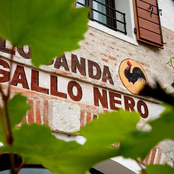 Al Gallo Nero, hotel in Borgoricco