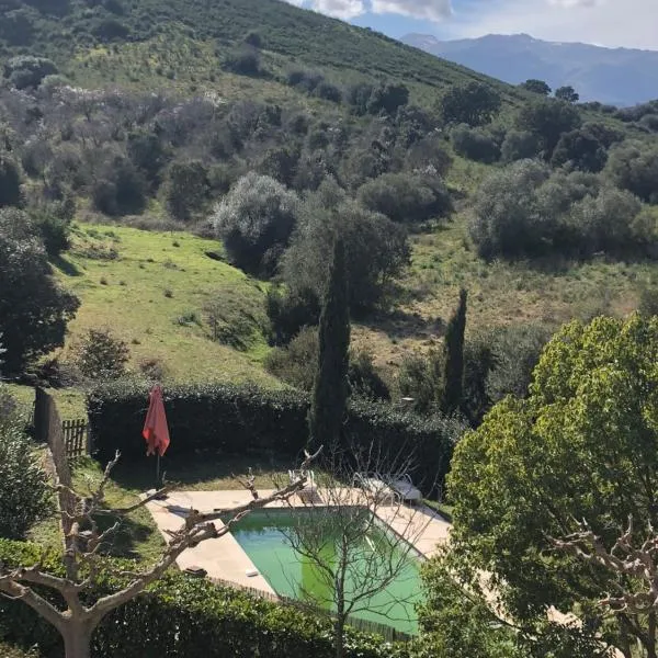 Oliera 2, hotel v destinácii Oletta