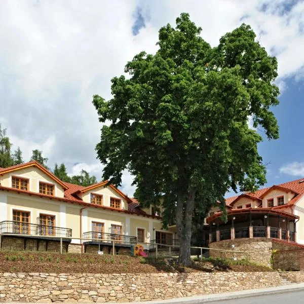 Hotel Gold Chotoviny, hotel in Bendovo Záhoří