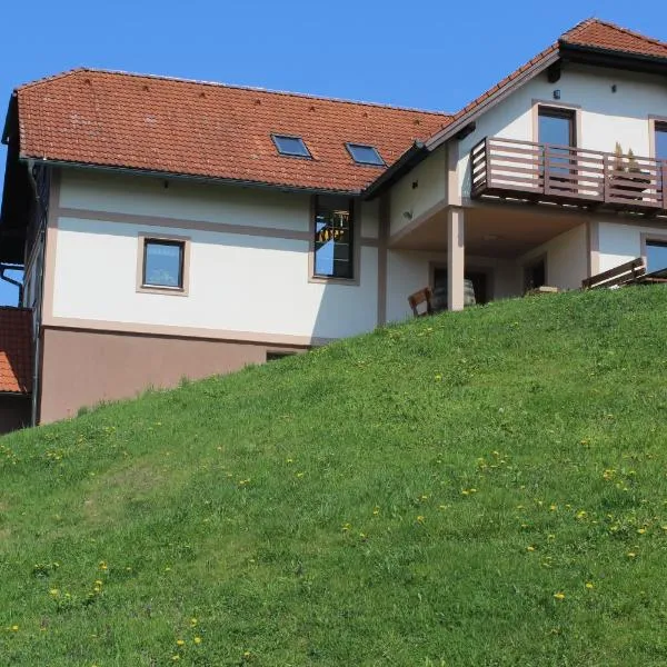 Vdovič Guest House, hotel v destinaci Svečina