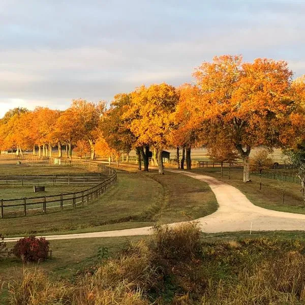 haras du Vignault Le Bûcher: Salbris şehrinde bir otel