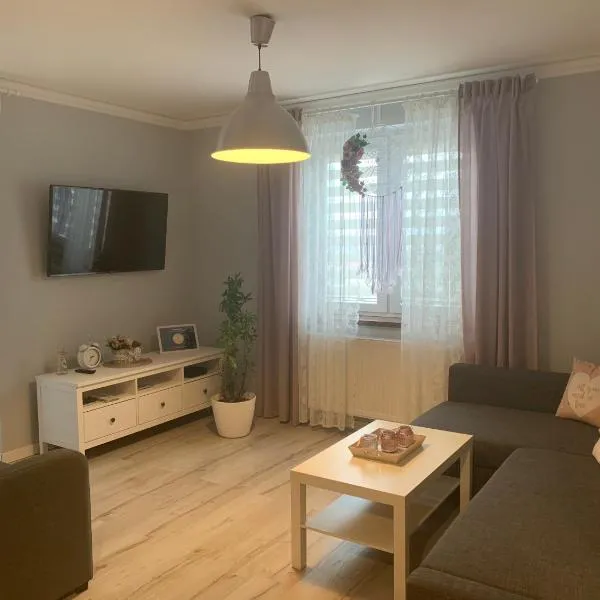 Apartament Antek klimatyzowany, hotel Bieruń Staryban