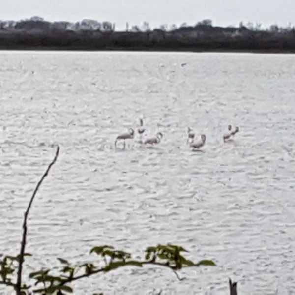 Maddy Appartamento, Hotel in Porto Viro