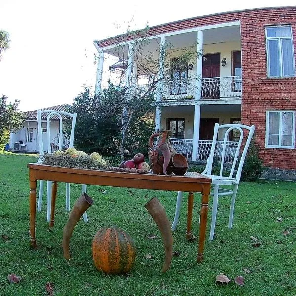 Surmava Palace, hotel v destinaci Martvili