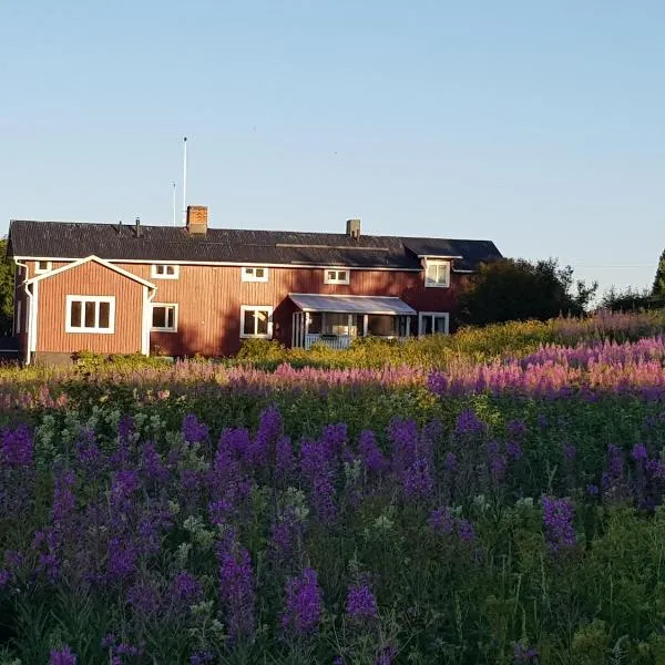 The Friendly Moose, hotel a Hedenäset