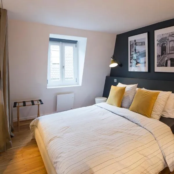 Appartement Cocoon Hypercentre, hotel ve Štrasburku