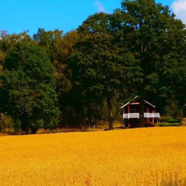 Rolsmo Norregård 16, hotel en Långasjö