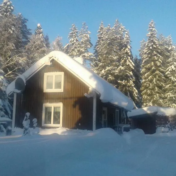 Holiday House in Lapland, Överkalix, hotel in Överkalix