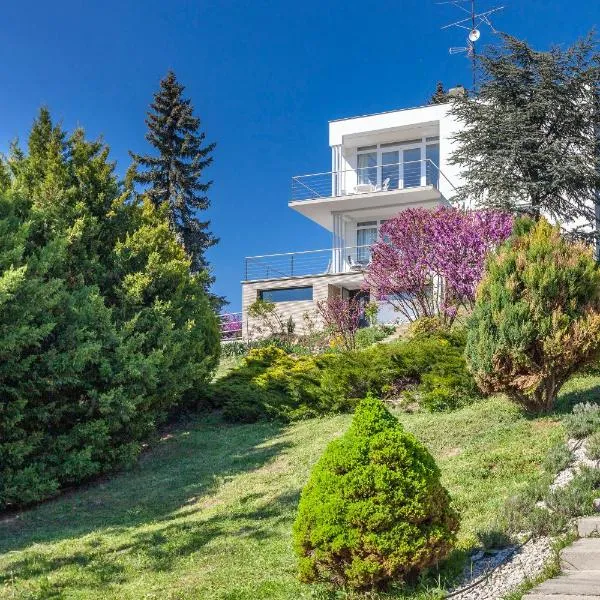 Mirador Balaton design Villa, hotel in Balatonakarattya