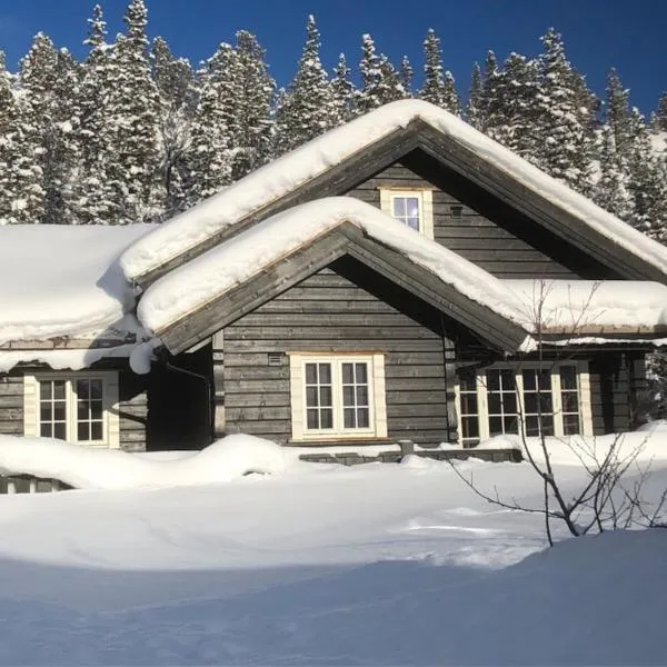 Viesnīca Kilen Lodge pilsētā Gaustablikk