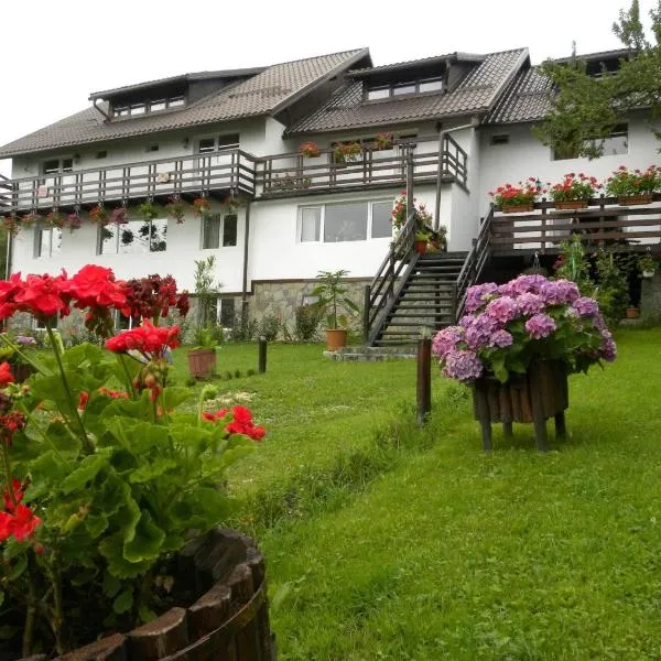 Pensiunea Cerbul Carpatin, khách sạn ở Bran