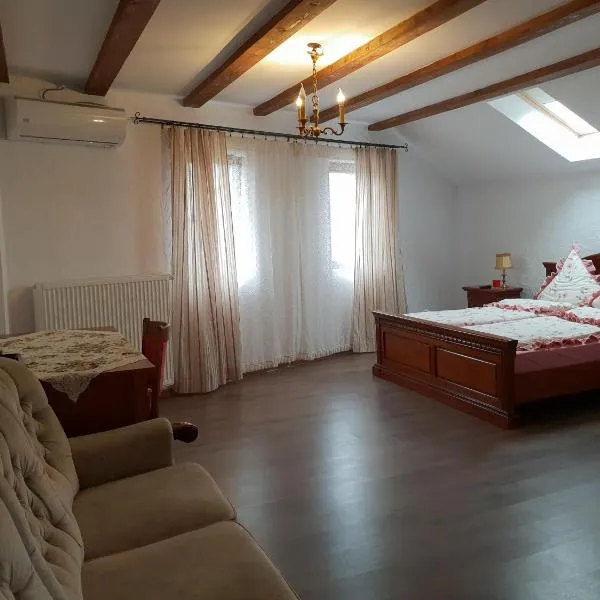 Casa Dorgo, hotel in Lipova