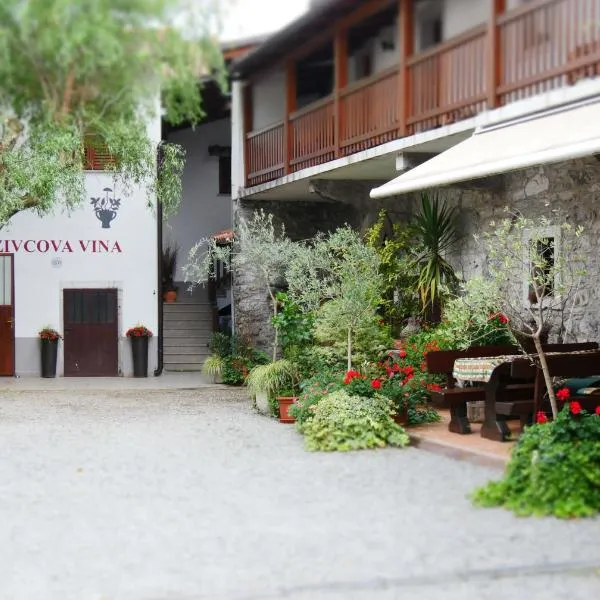 Apartmaji pri Živcovih, hotel in Pliskovica