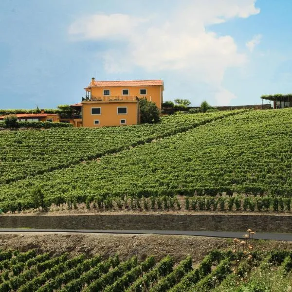 Casa da Seara, hotel en São Martinho de Antas