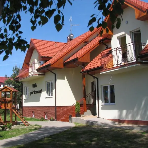 Willa pod Brzozami, hotel in Włodarka