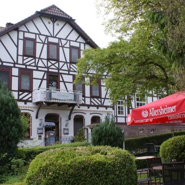 LandHotel Lönskrug, hotel in Arholzen