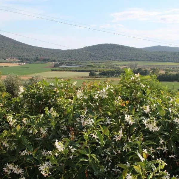 Agriturismo Podere Montenero, מלון באלברזה