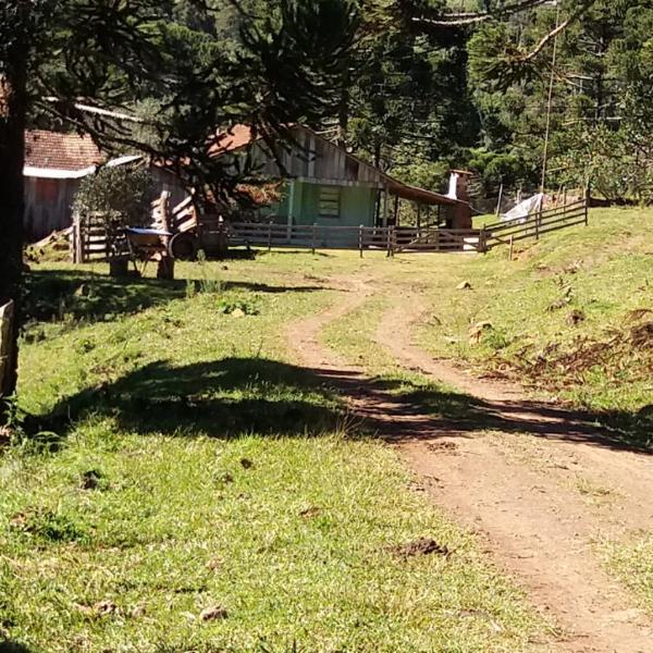 Sitio Palheiro Borges - Foto 2