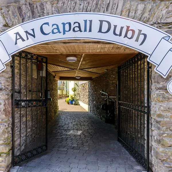 Dingle Centre Townhouse An Capall Dubh Dingle, hotel in Dingle