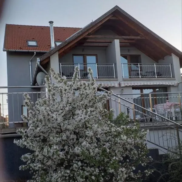 Villa Rigo Panzió, hotel v destinaci Verpelét