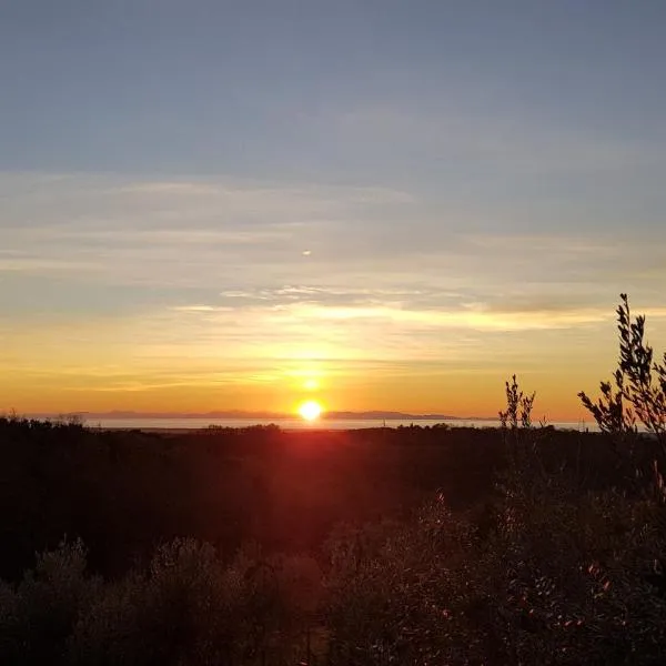Il Panorama: Montescudaio'da bir otel
