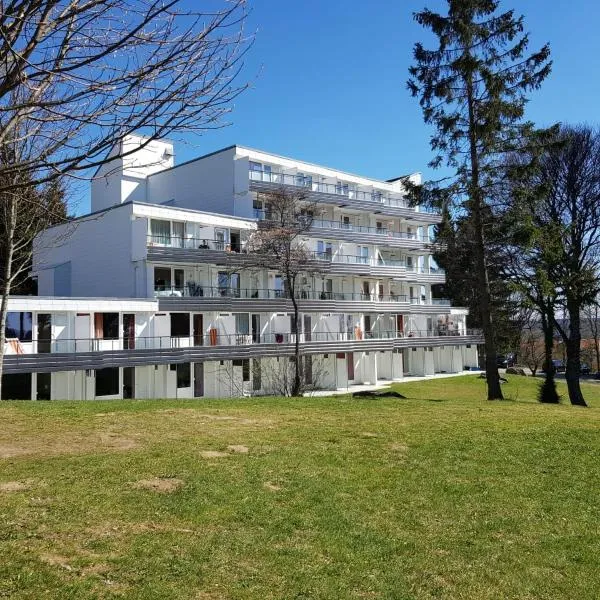 Family Appartment, ξενοδοχείο σε Sankt Englmar