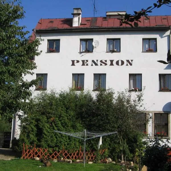 Pension Doctor, hotell i Dvůr Králové nad Labem