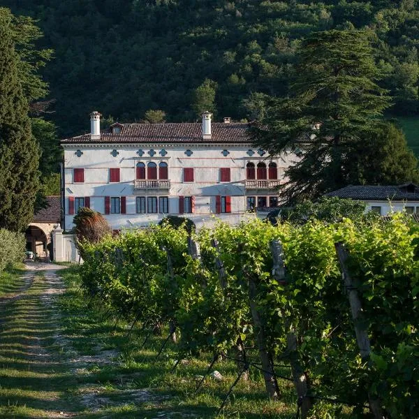 Villa Premoli - Agriturismo di charme, отель в городе Cavaso del Tomba