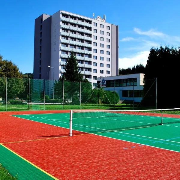 PATRIA HOTEL, hotel in Petříkovice