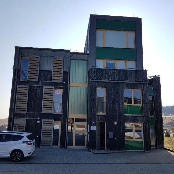 Loučná pod Klínovcem 120/3, hotel v Loučné pod Klínovcem