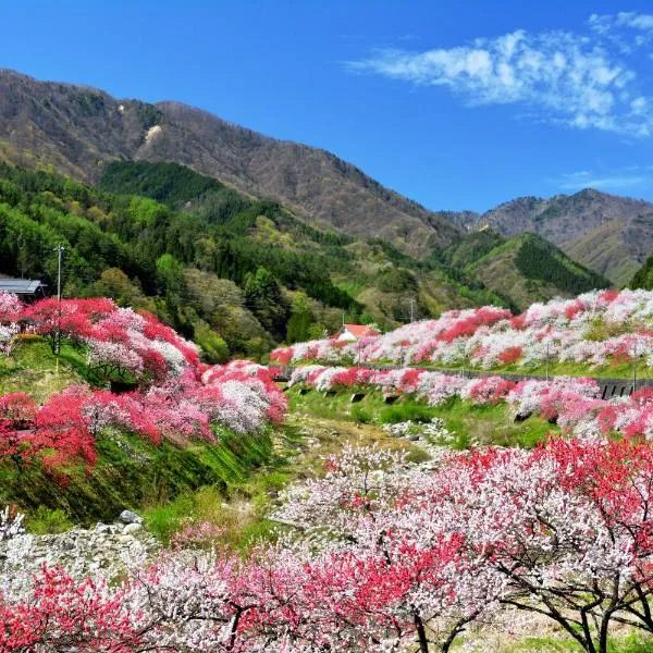 Yura No Yado Seifuen, hotel v destinaci Ači