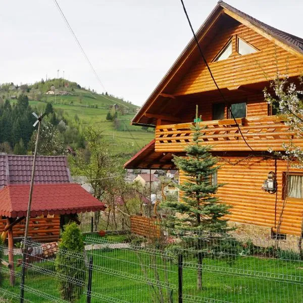 Pensiunea Jianu, hotel v destinaci Albac