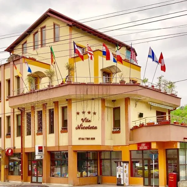 Vila Nicoleta, hotel din Băile Olăneşti