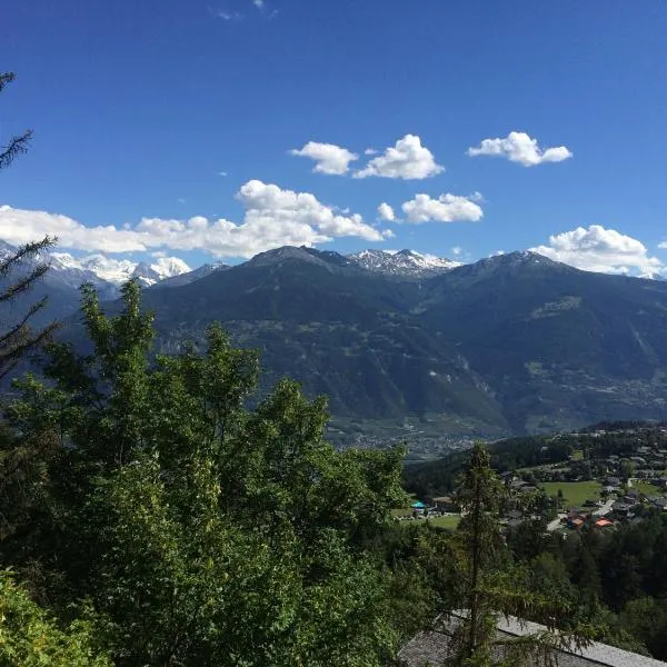 Hôtel de la Forêt, hotel sa Crans-Montana