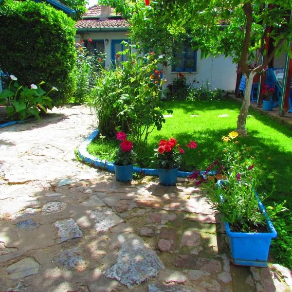 Amazon Antique, hotel v destinaci Selcuk