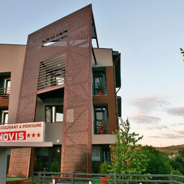 Pensiunea Novis, khách sạn ở Pietrăria