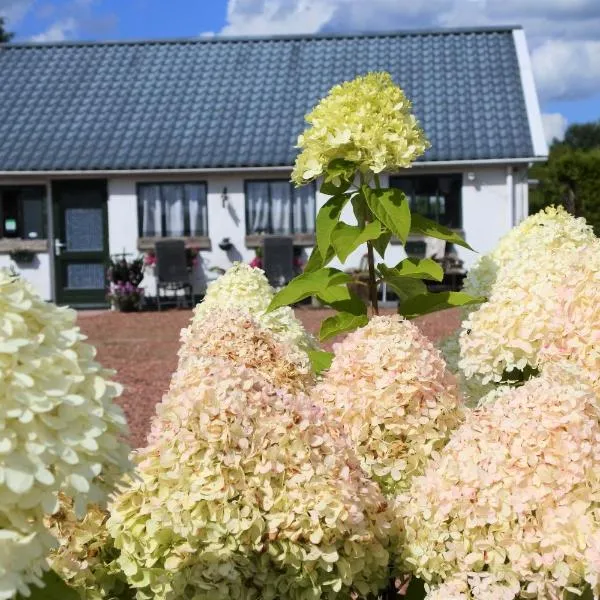 Sfeervol Appartement Het Knooppunt, hotel in Niekerk