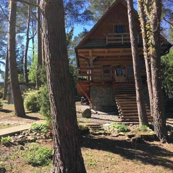 Domek z bali Tryszczyn nad Brdą, hotel in Tryszczyn
