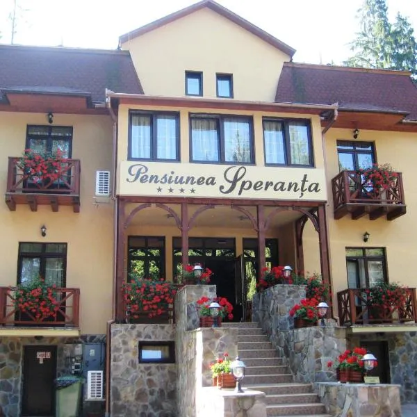 Pensiunea Speranta, hotel in Sovata