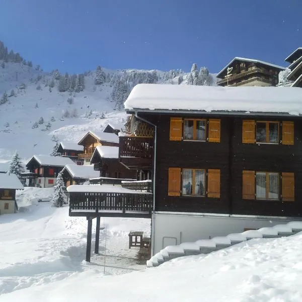 Chalet Valaisia, hotel v destinaci Riederalp