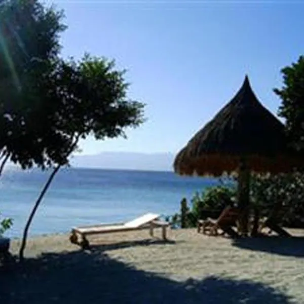 Sea Turtle House Moalboal, hotel in Moalboal