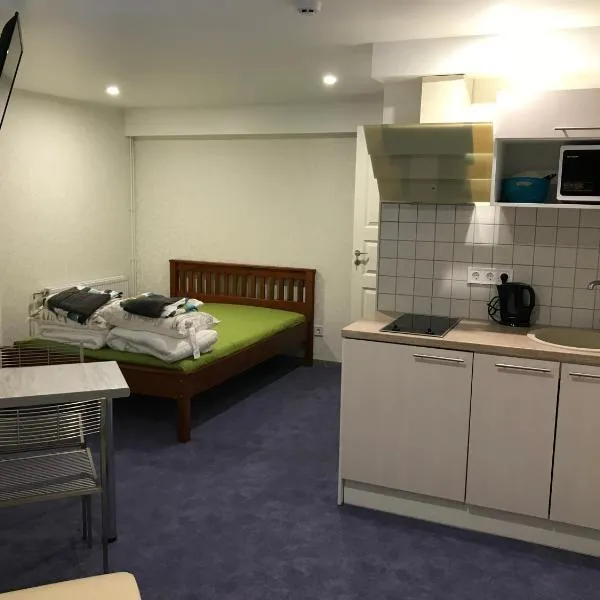 Liivalaia 40 cozy kitchen studio, hotel u gradu 'Nehatu'
