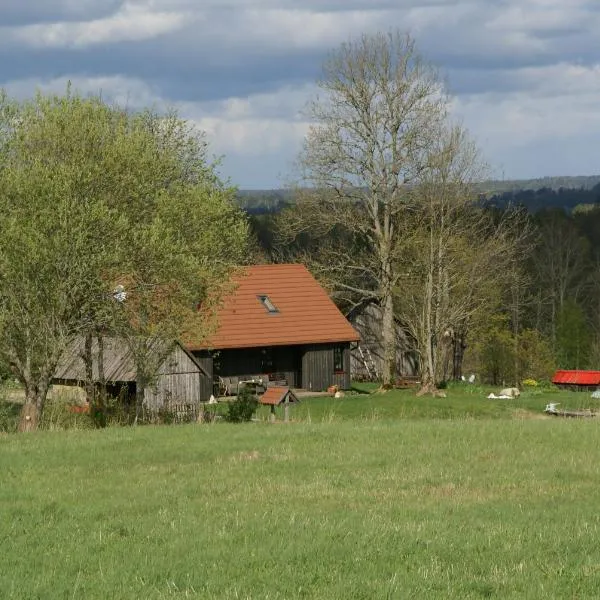 Dzērves, hotel em Araiši
