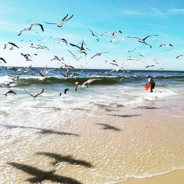 Praia da Torreira à Vista, hótel í Torreira