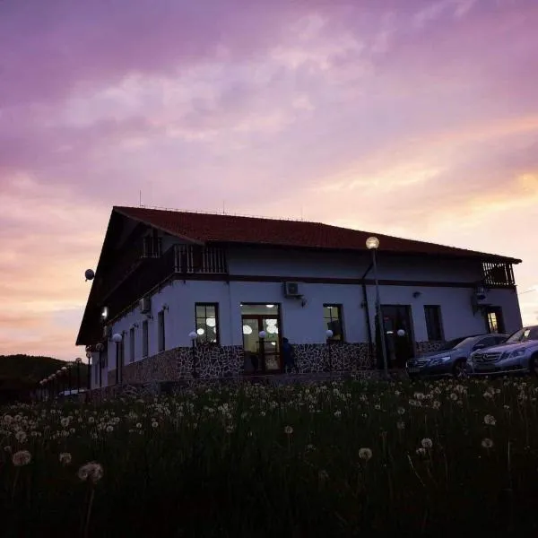 Pension Cetate Valcău de Sus, hotel v destinaci Valcău de Sus