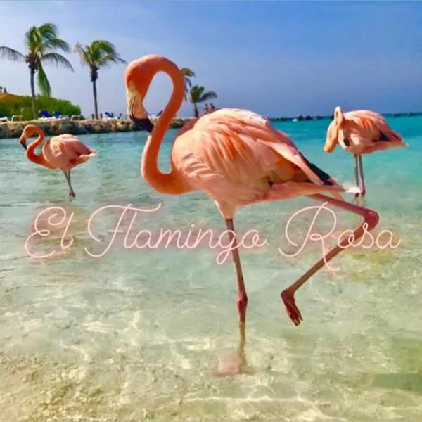 Casa vacanze El Flamingo Rosa Cod IUN P5386, hotel in Iglesias