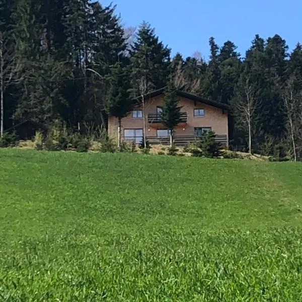 Ferienhaus am Waldrand von Egg Bregenzer Wald, hotel em Egg